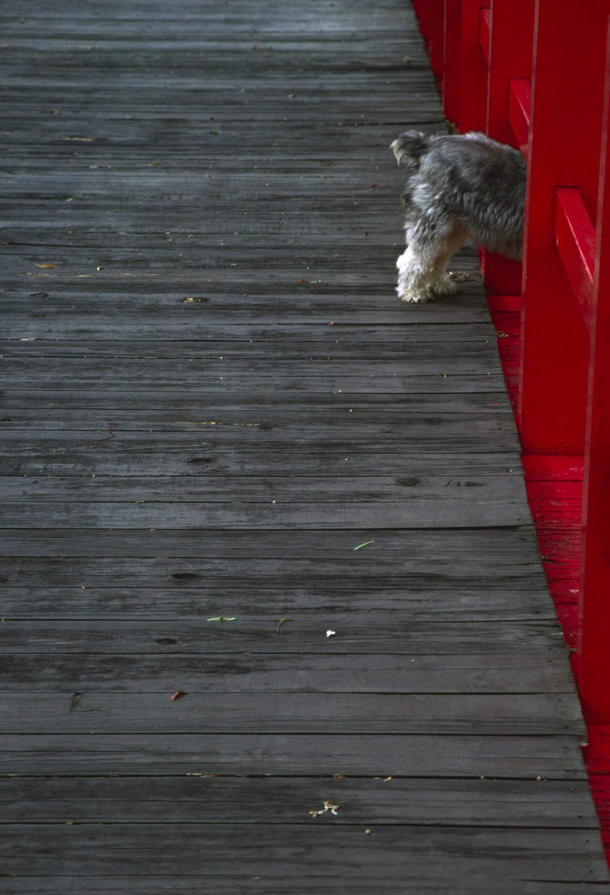 The Red Bridge Study.jpg