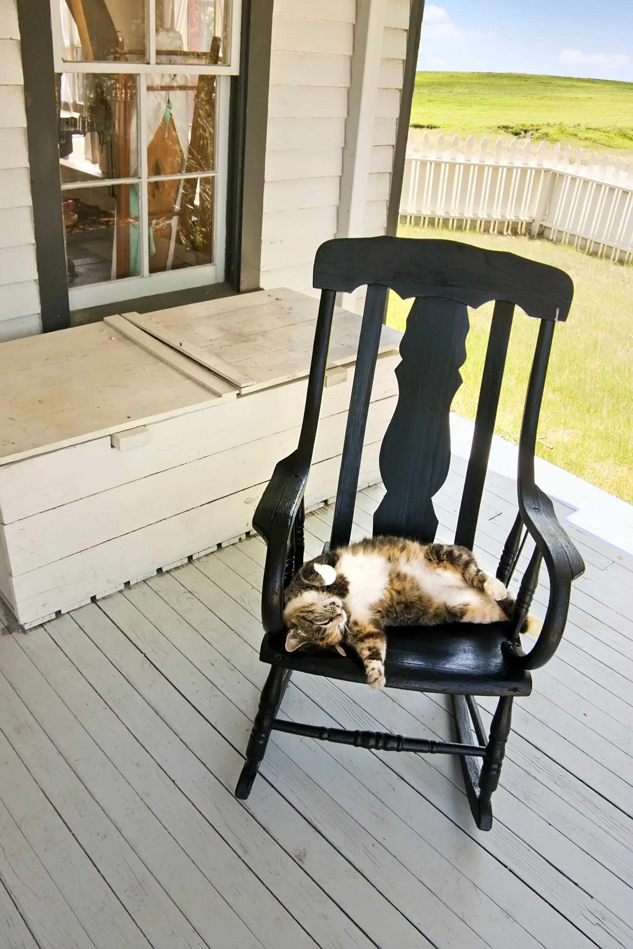 Lazy Summer Country Cat_MG_7144 7-27-09.jpg