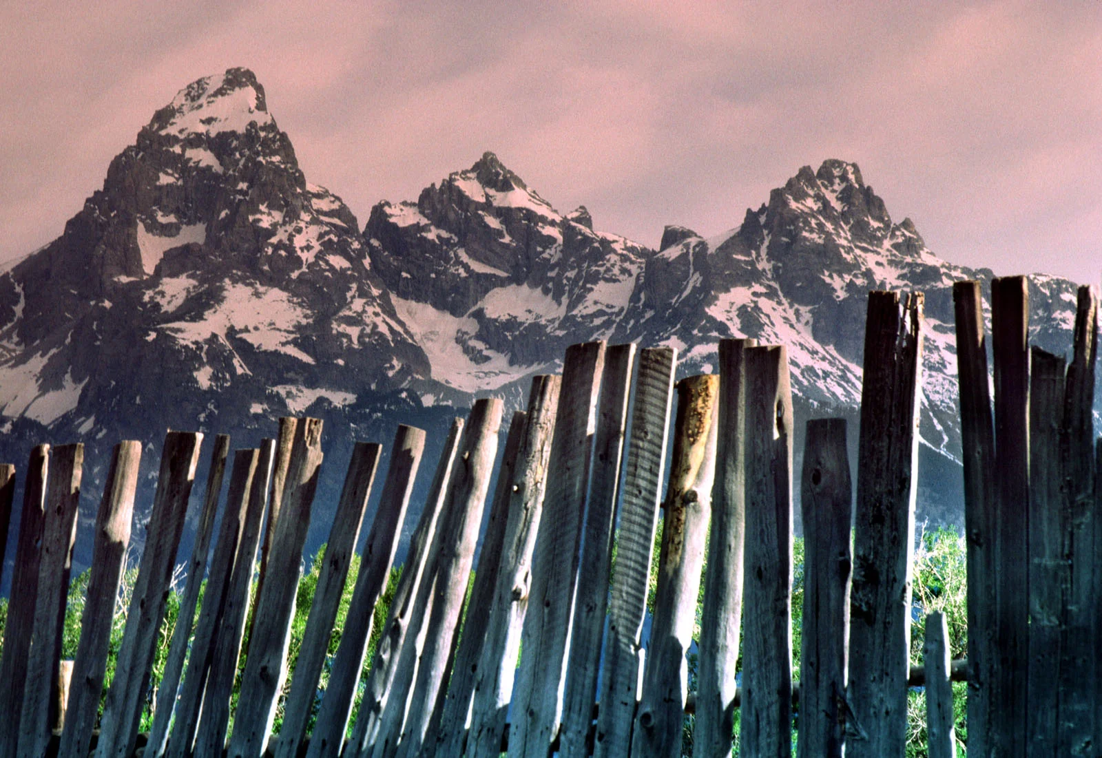 04Image31  The Grand Fence Boards and Tetons.jpg