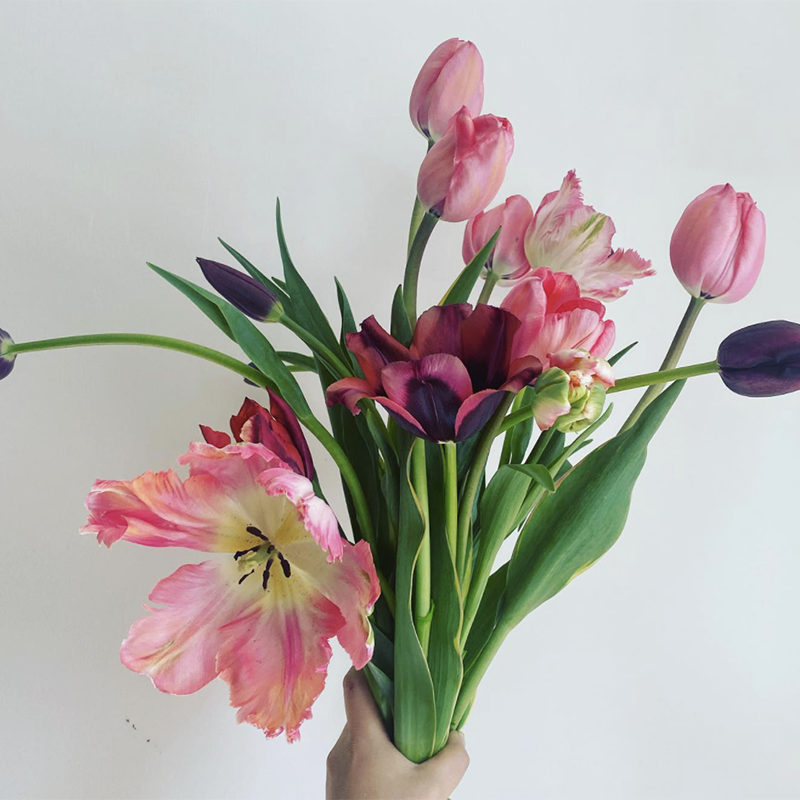 No kidding! Painted Goat Farm returns this week...&nbsp;