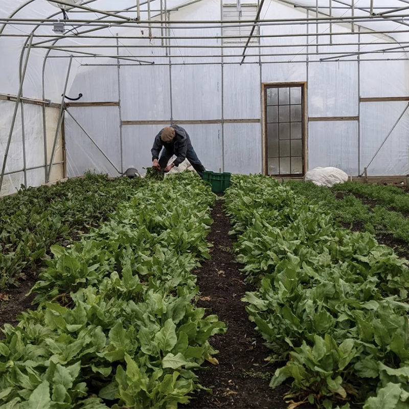 thank you farmers!