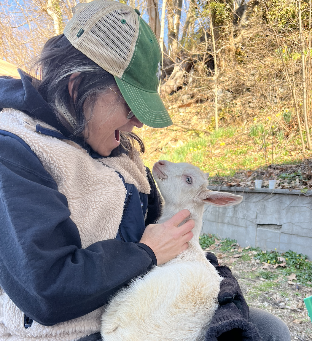 Smoked duck breast, Norwegian crackers and more baby goats!