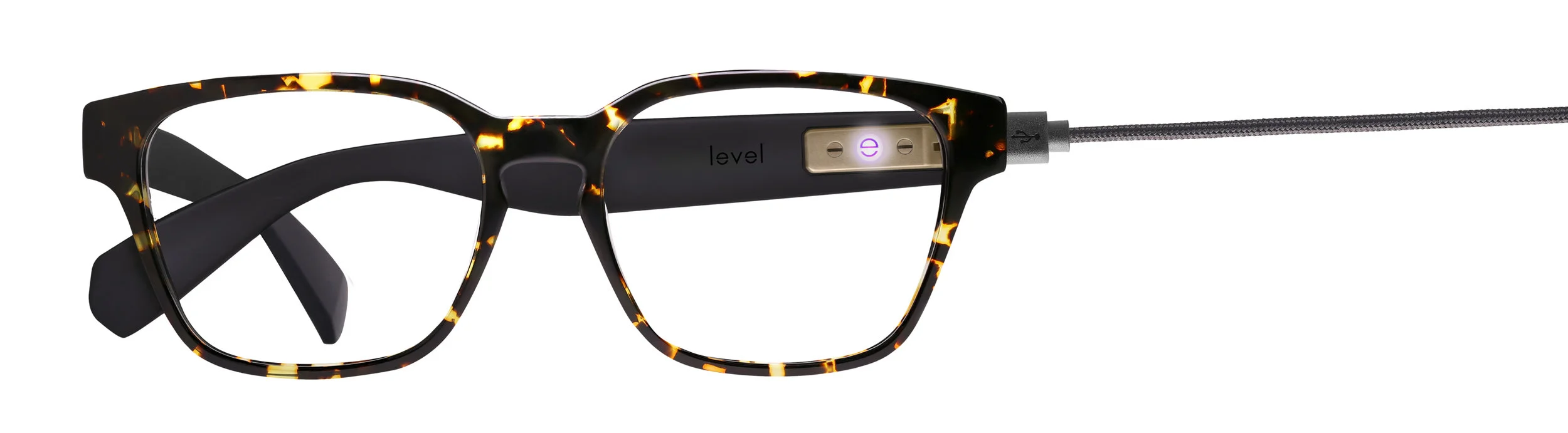 LEVEL_Hedy_Tortoise_wcord.jpg