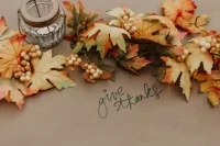 Have a blessed Thanksgiving!