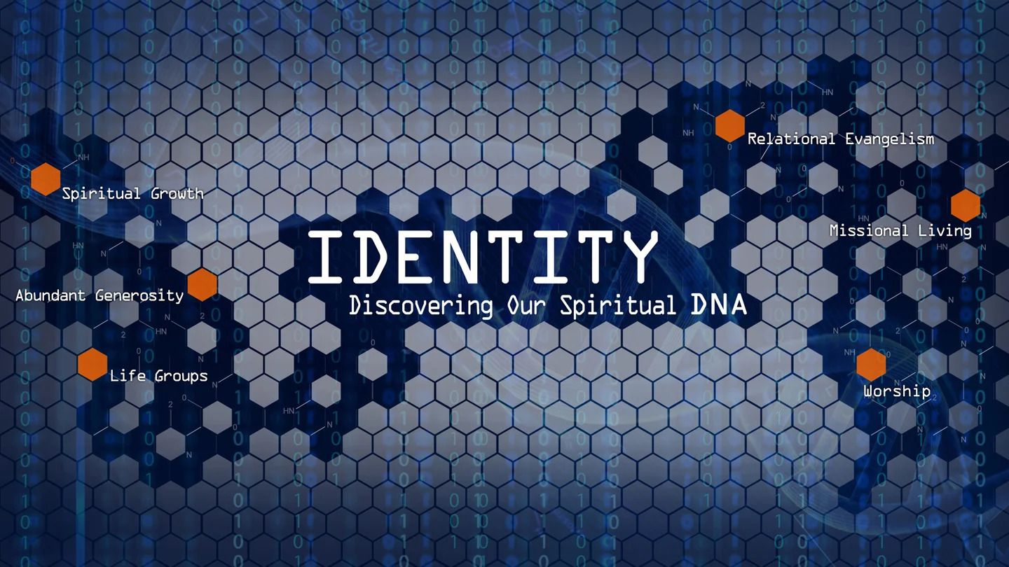 Identity Title Small.jpg