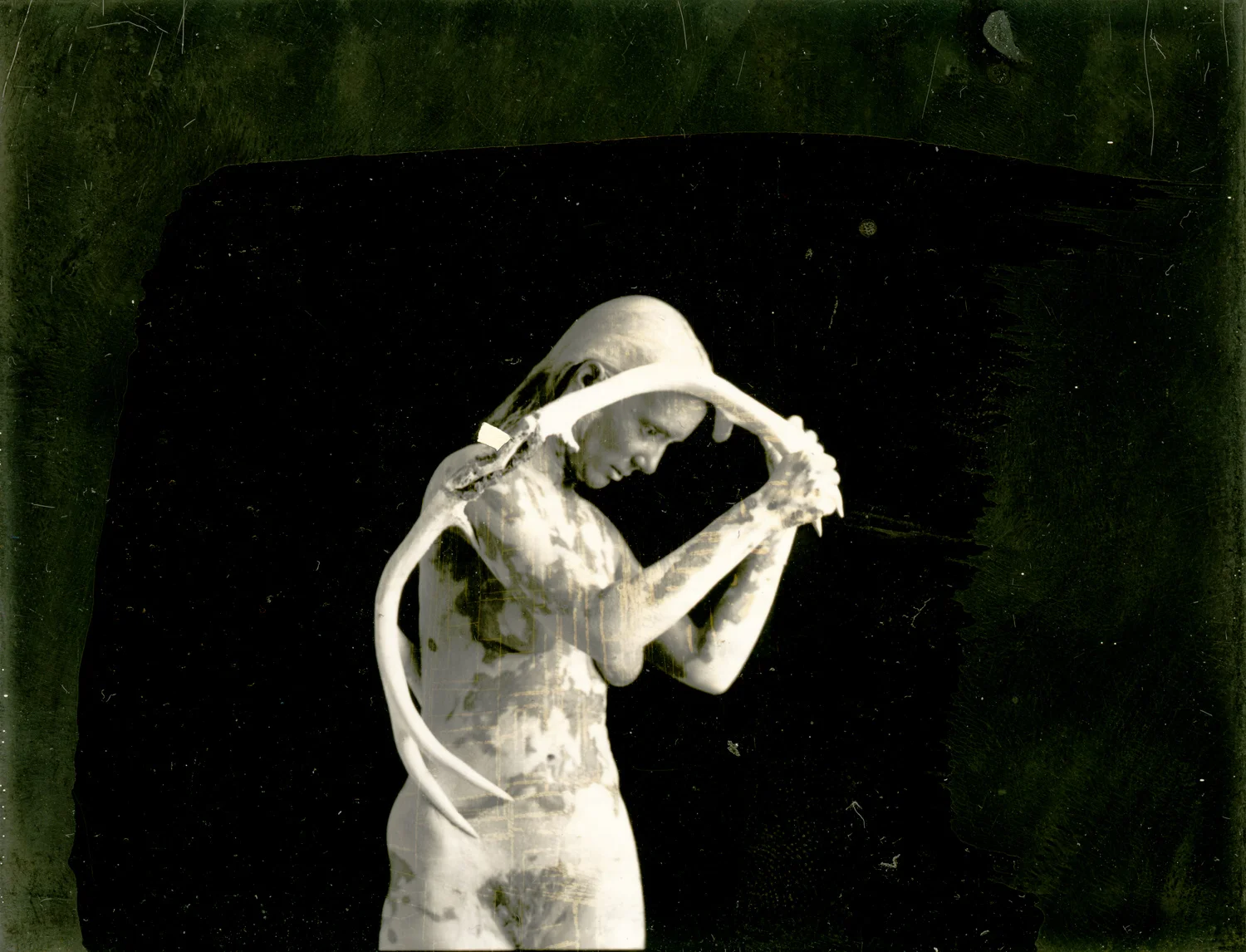 img378.jpg