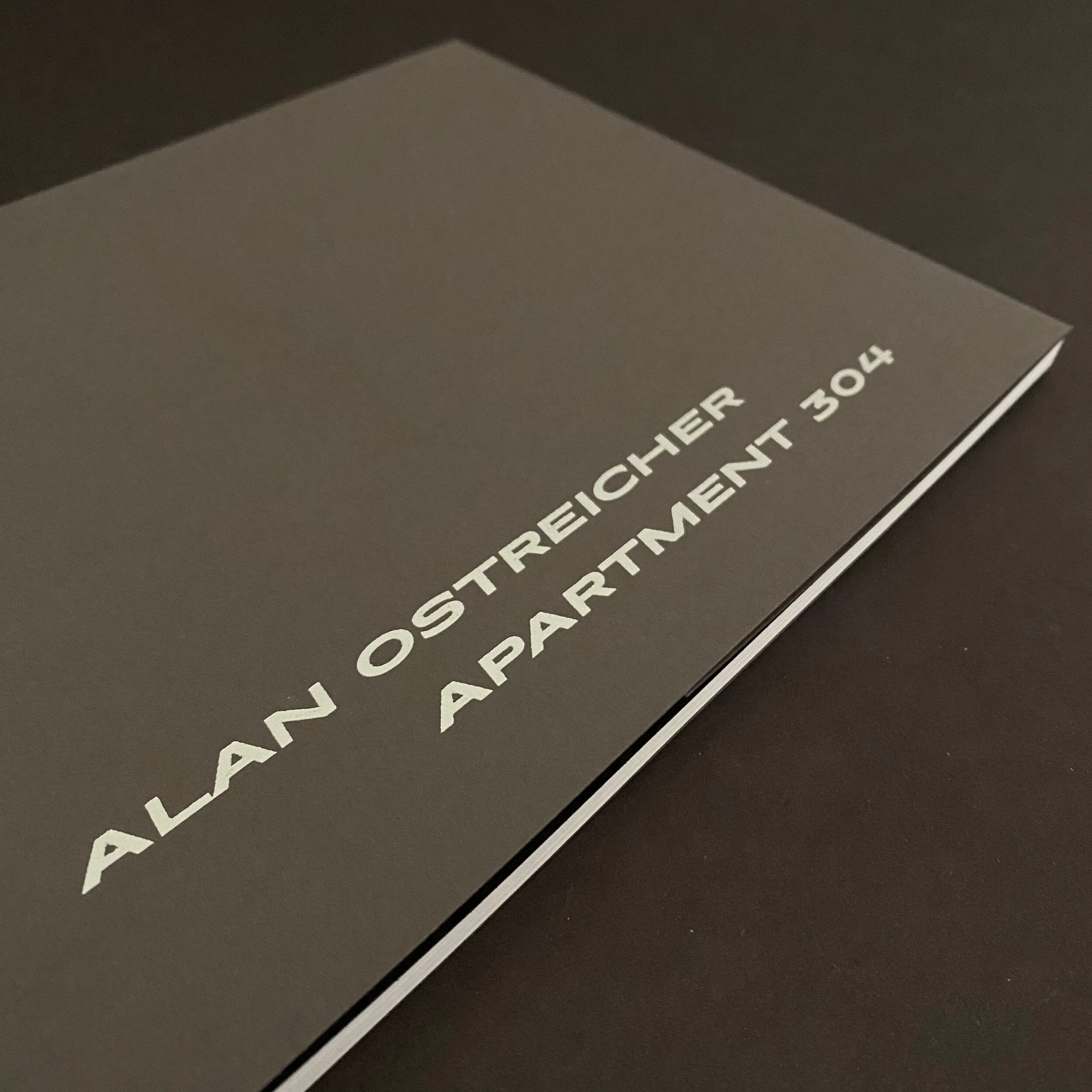 'Apartment 304' by Alan Ostreicher