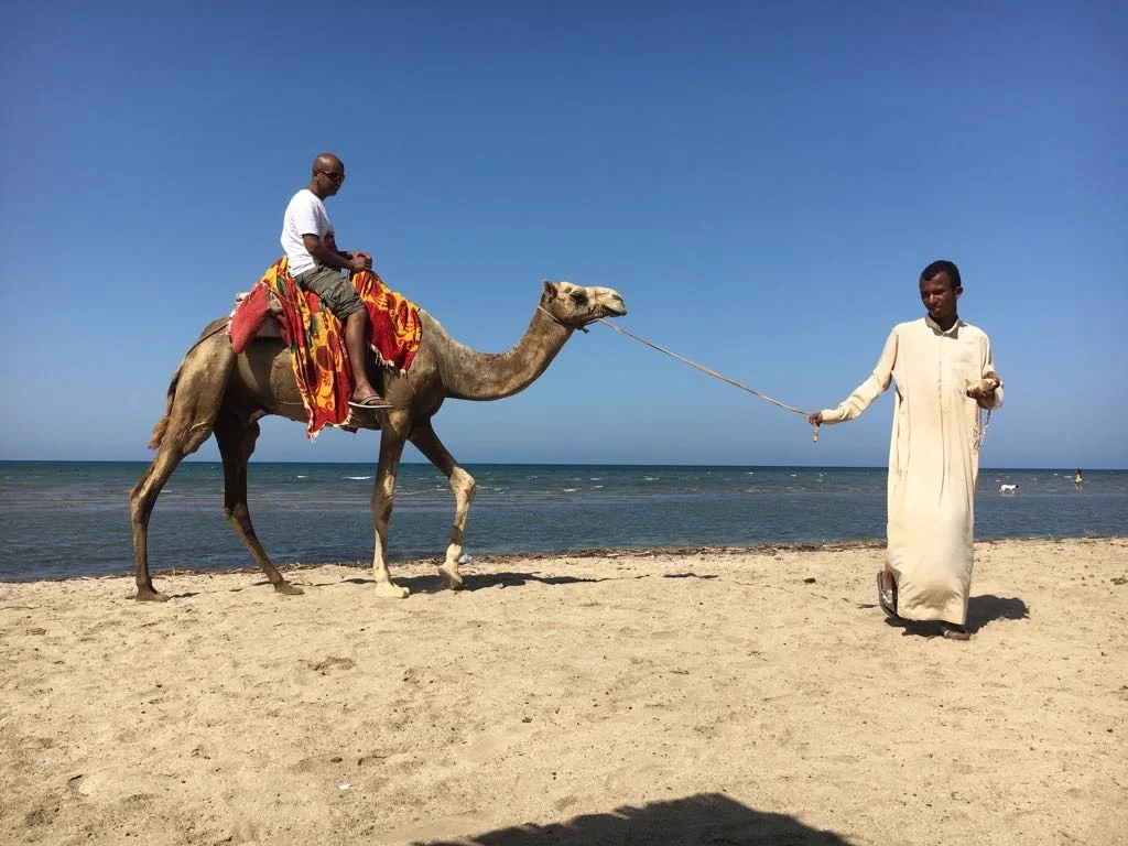 Geothermal an energy option for mining project in Eritrea, image size:1024x768