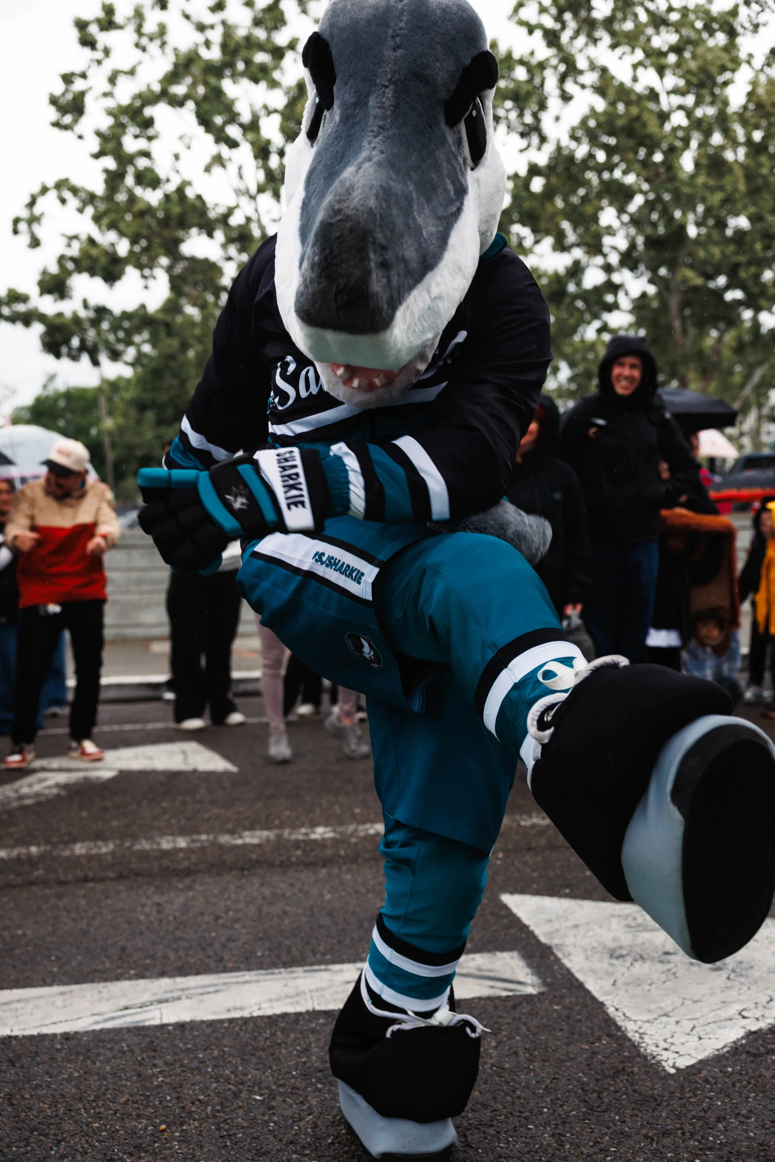 SJD26_sharkie-139.jpg