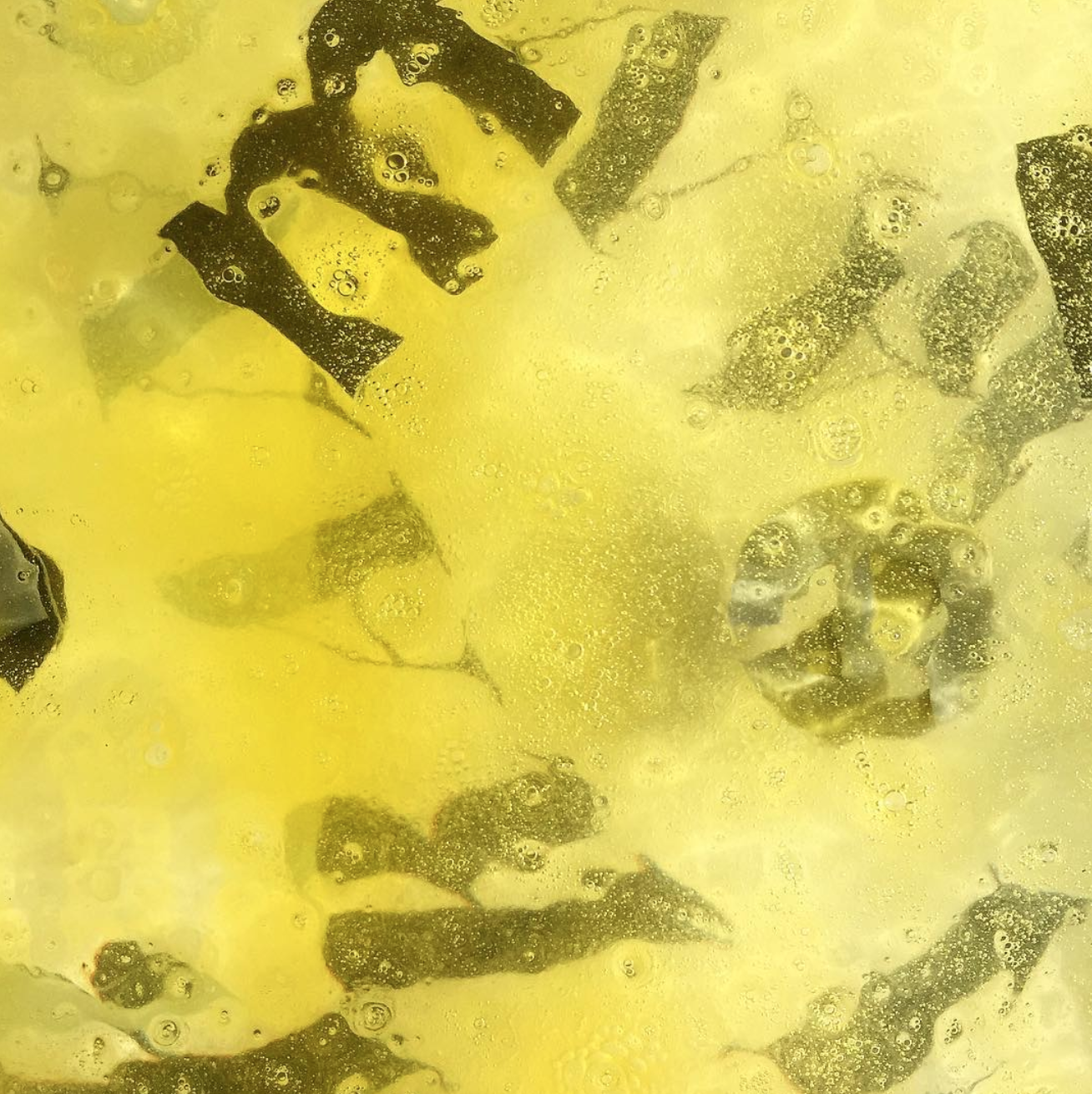 Screen Shot 2019-01-21 at 2.51.33 PM.png