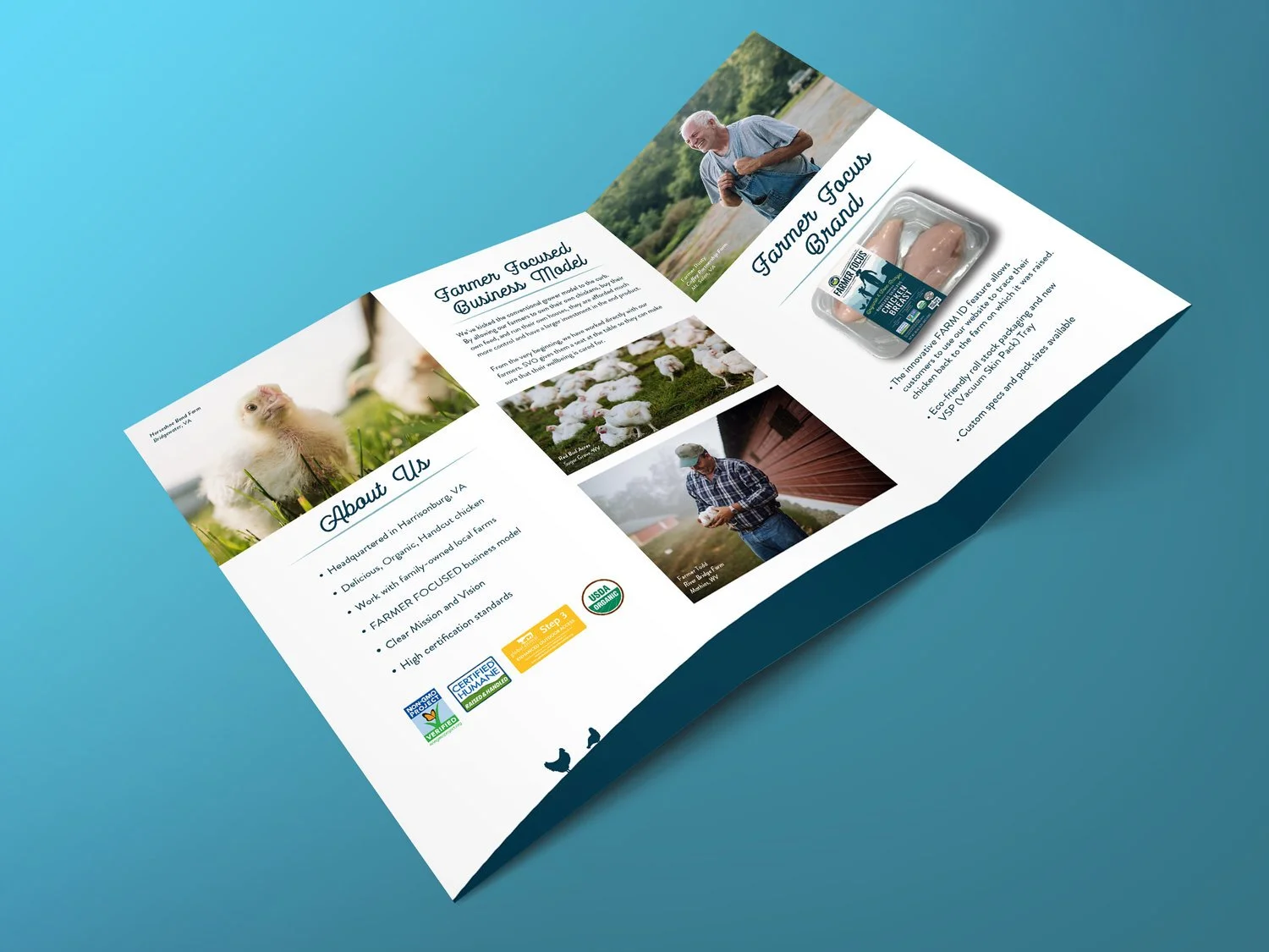 brochure+mockup_inside.jpg