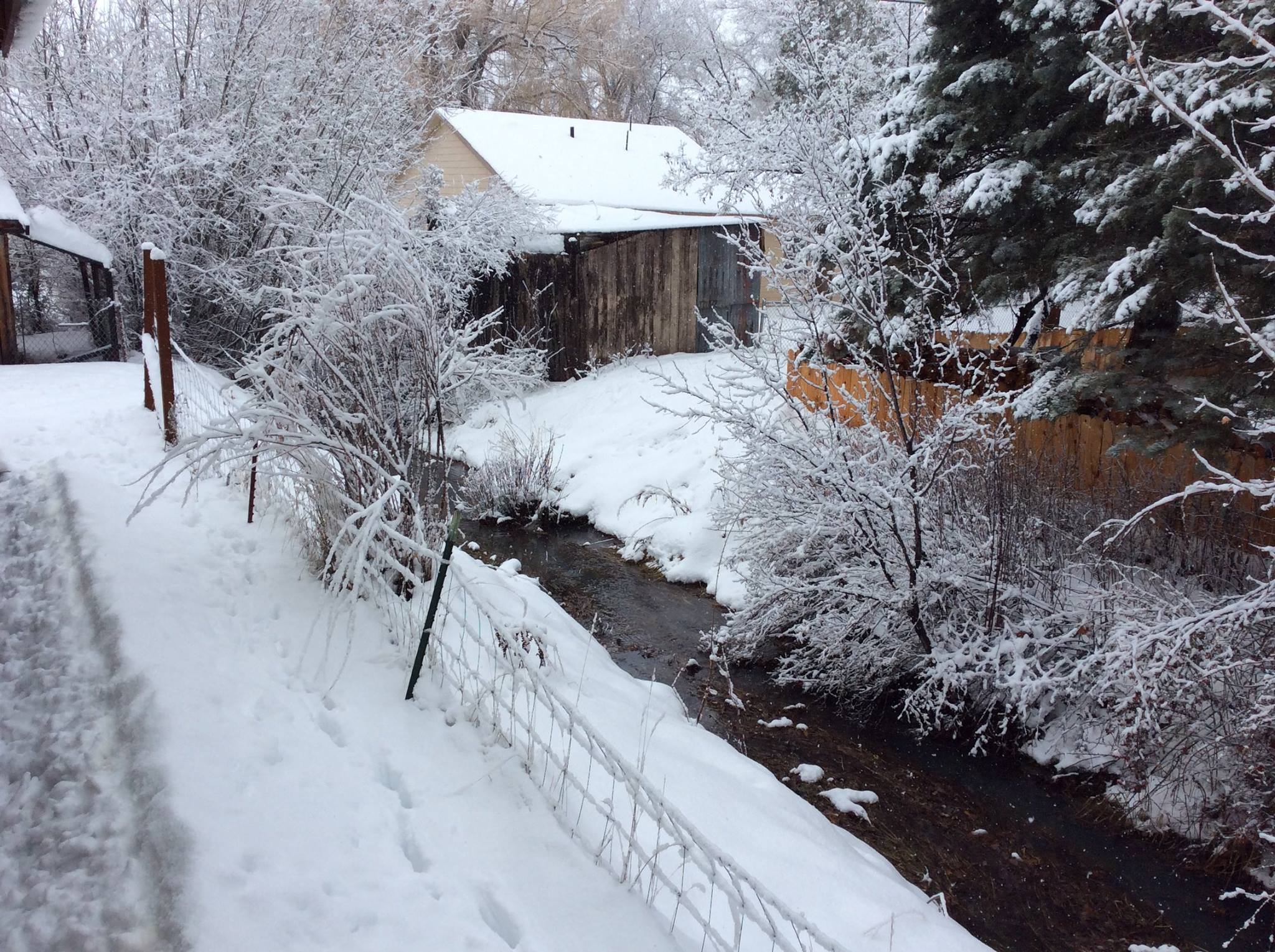 Creek in Winter.jpg