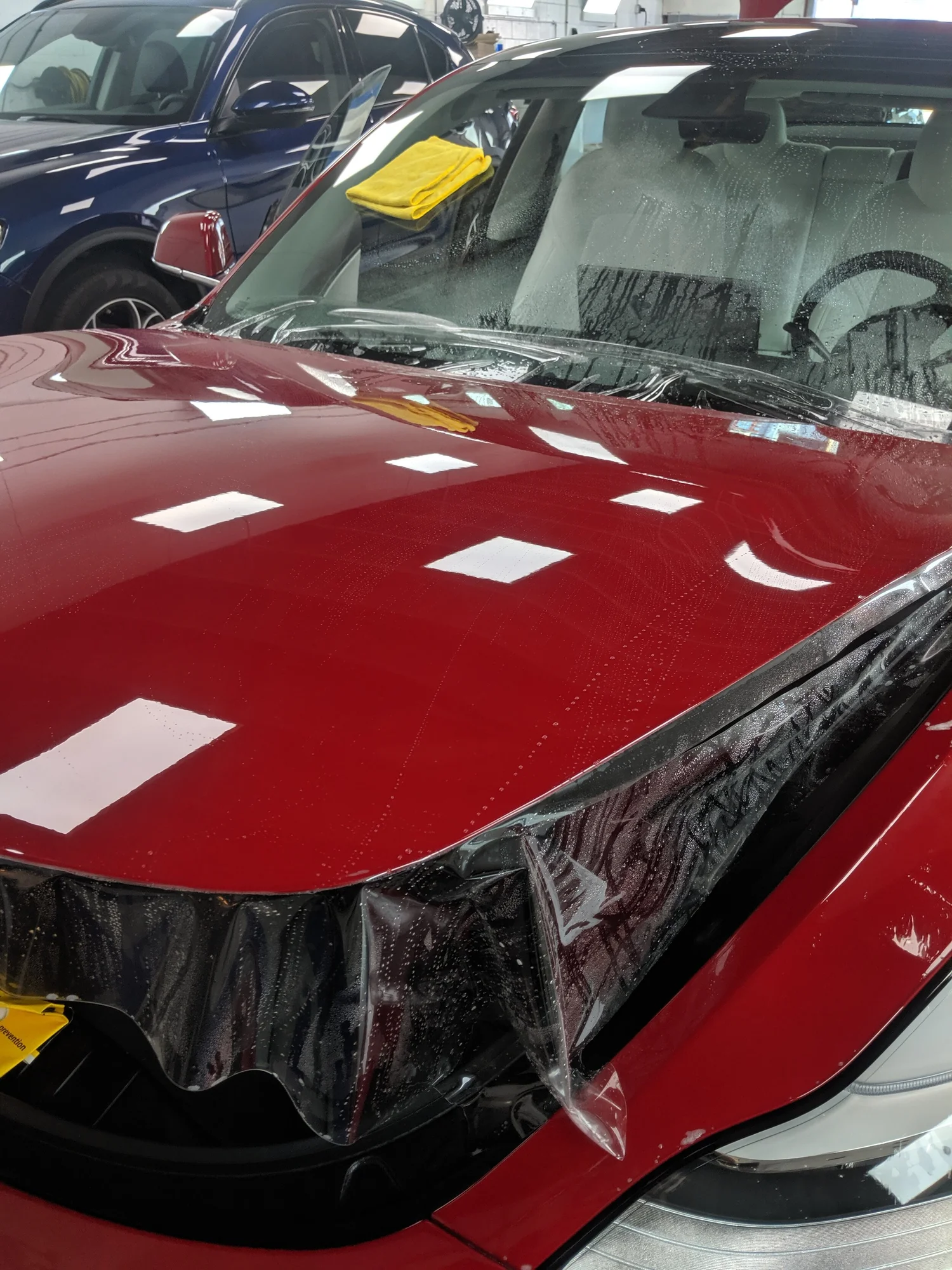 XPEL paint protection film installation