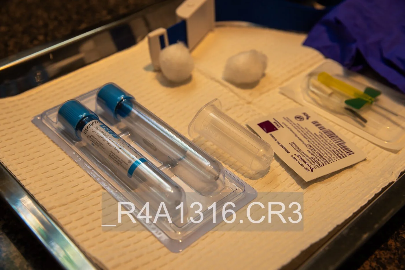 _R4A1316.jpg