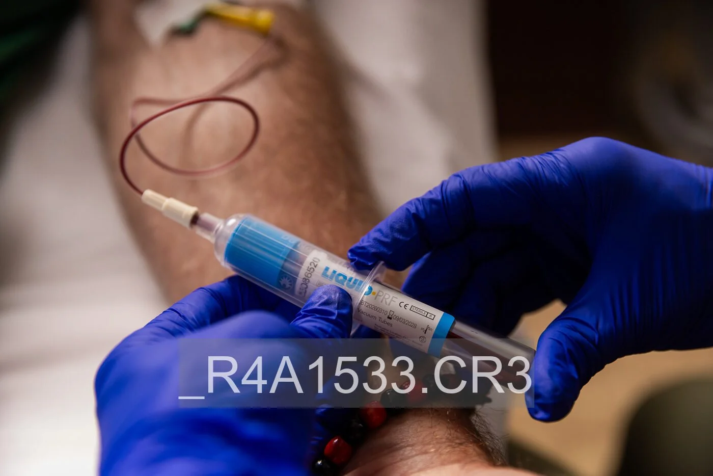 _R4A1533.jpg