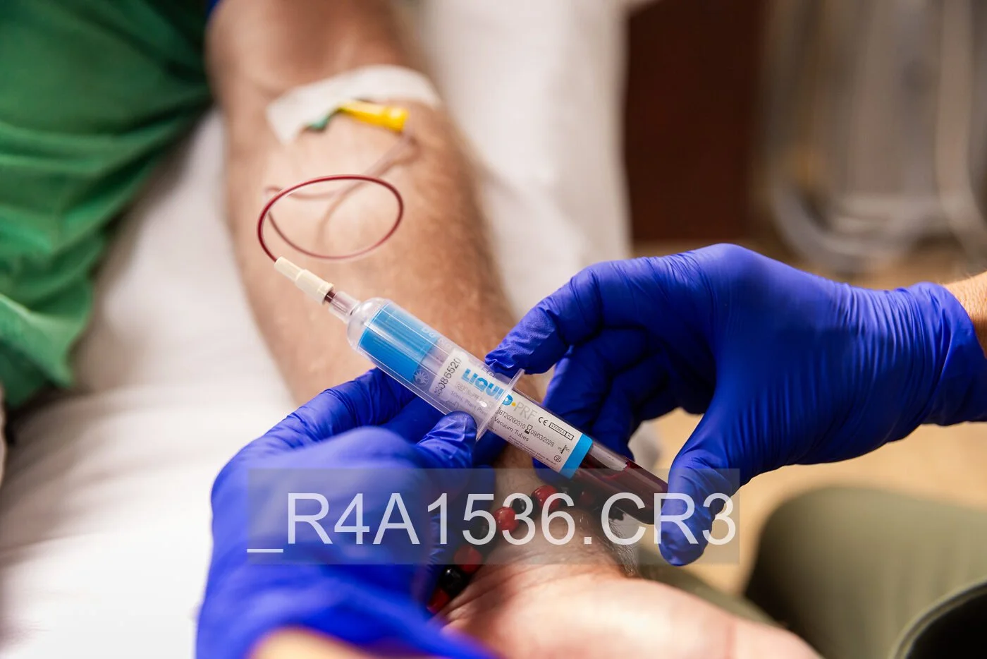 _R4A1536.jpg