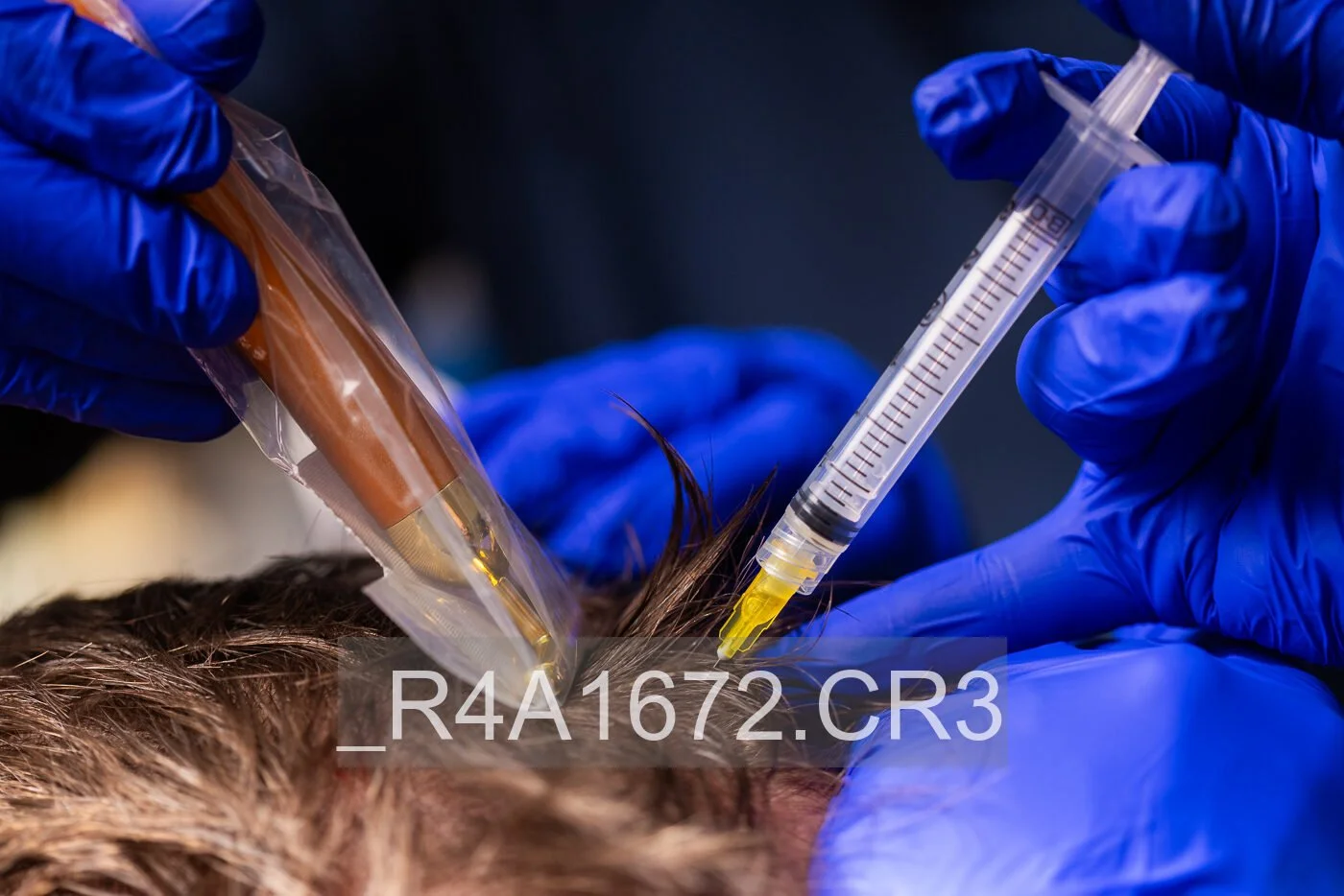 _R4A1672.jpg