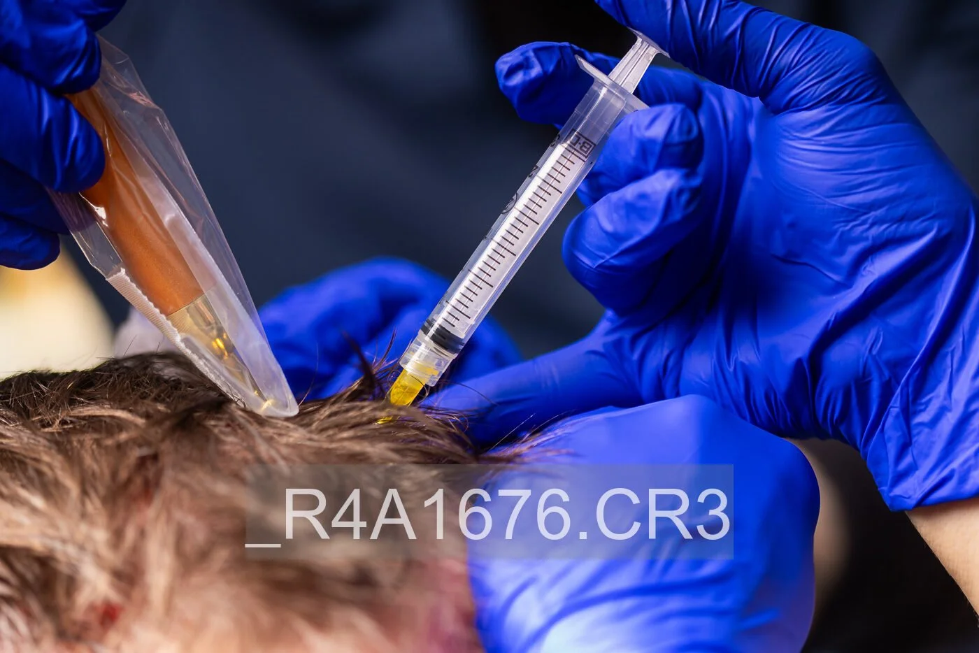 _R4A1676.jpg