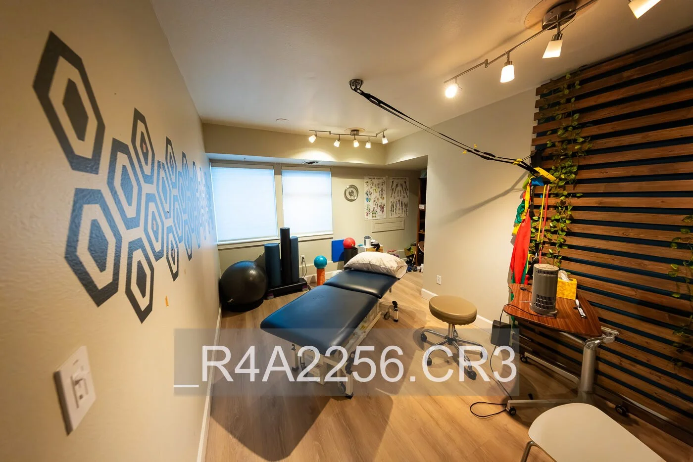 _R4A2256.jpg