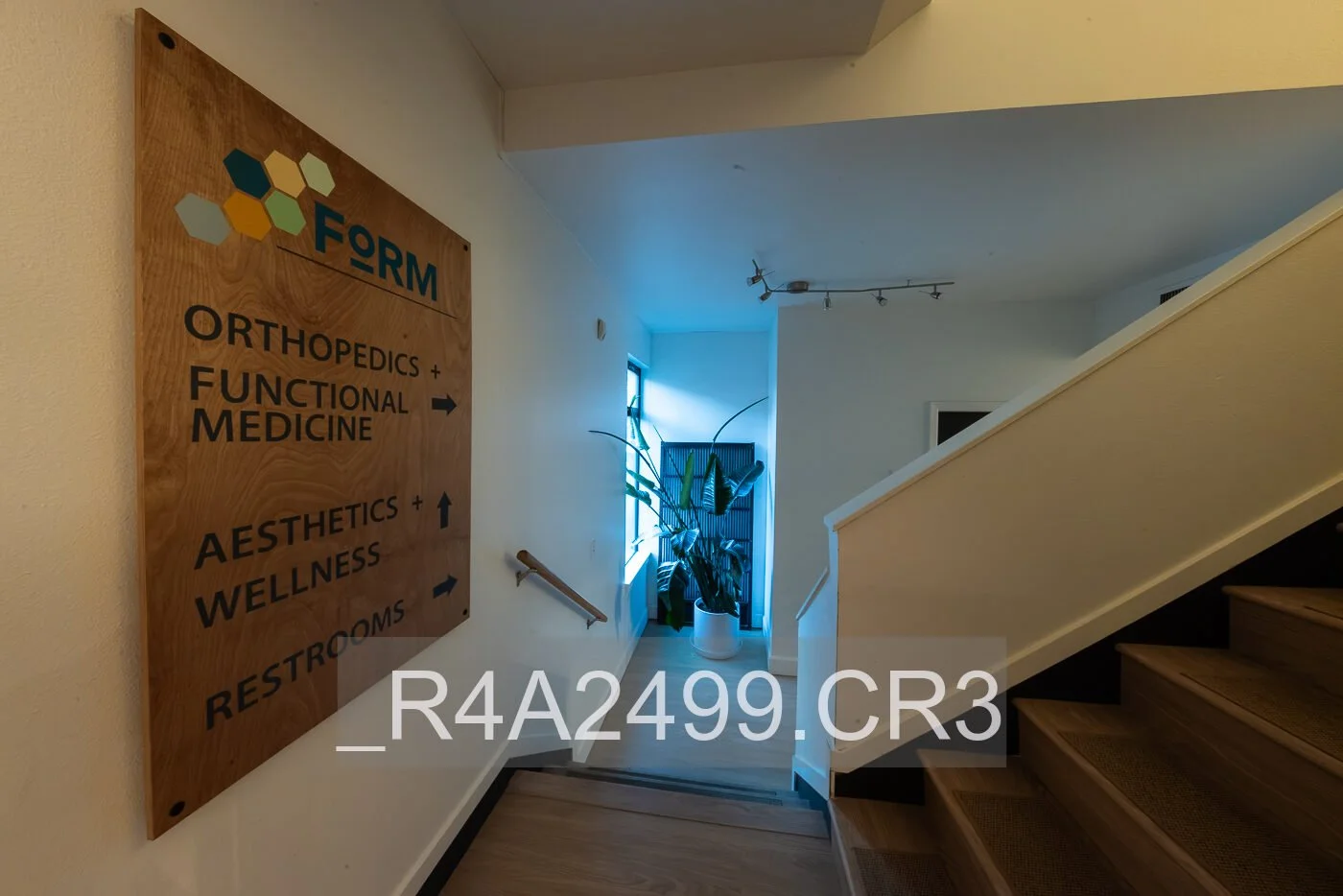 _R4A2499.jpg