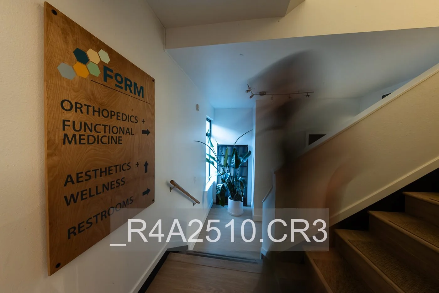_R4A2510.jpg