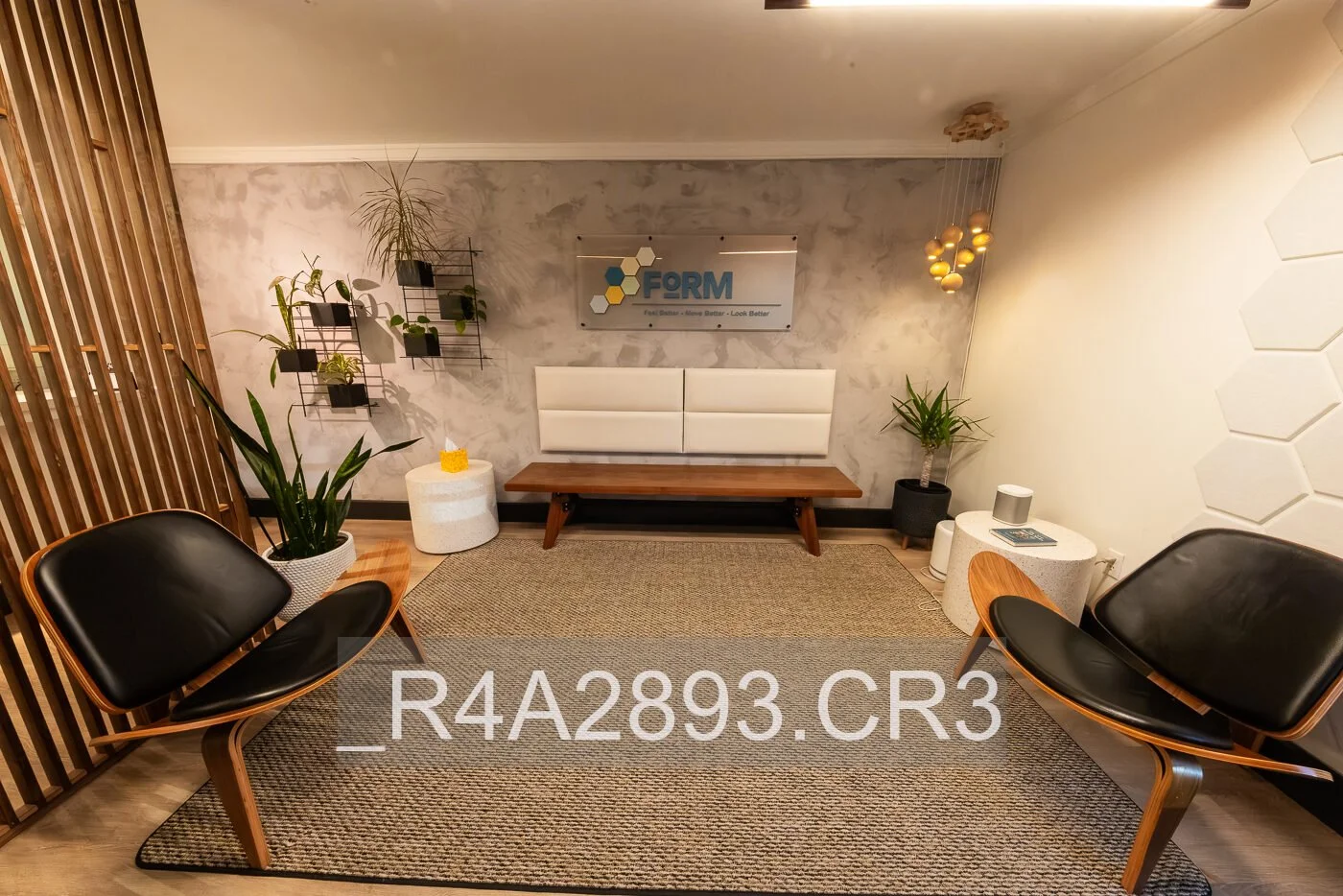 _R4A2893.jpg