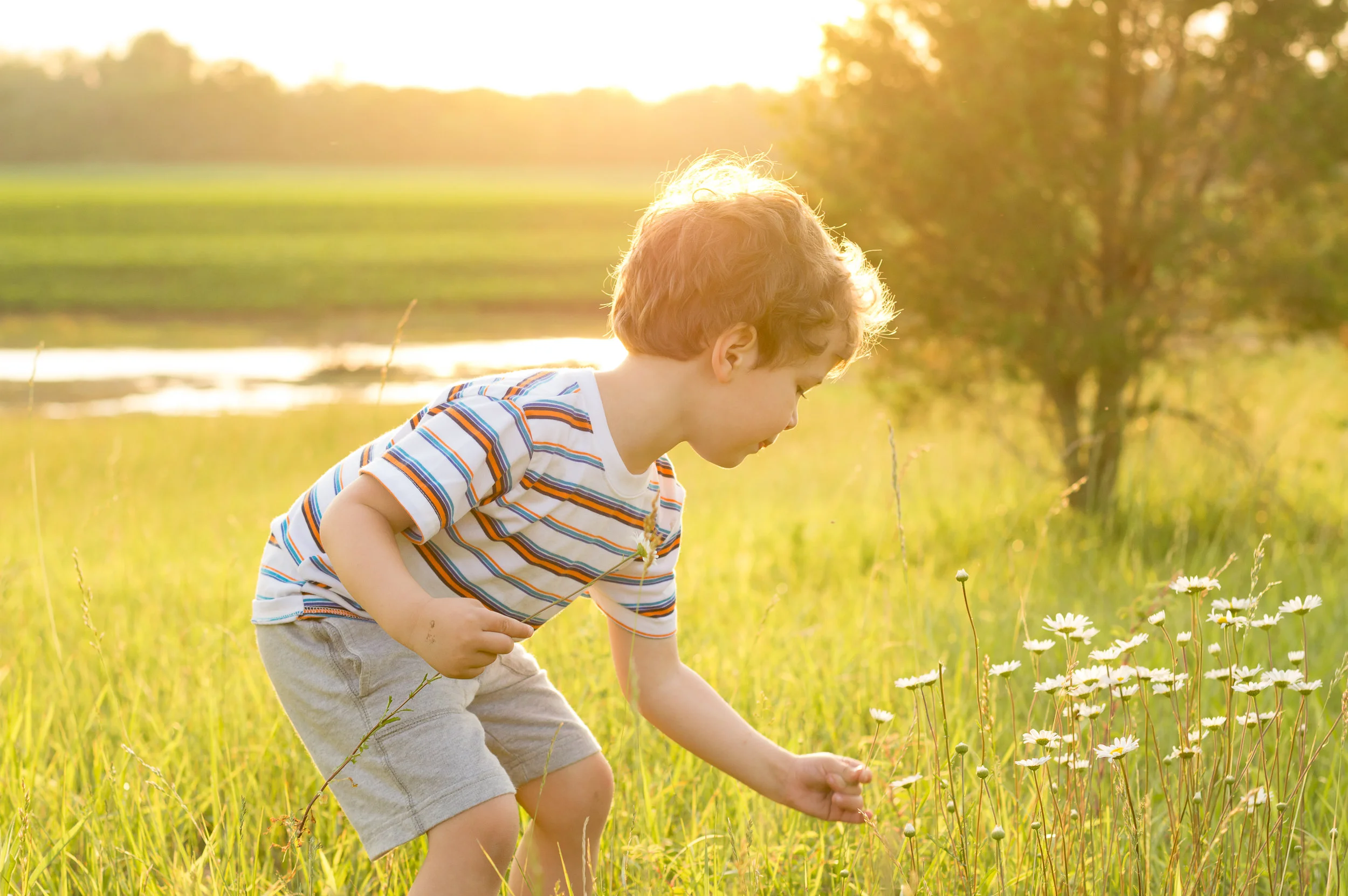 Child portrait in Lake County, Illinois