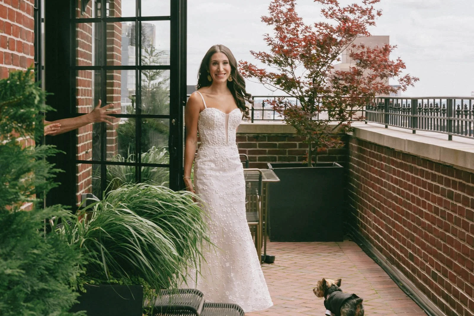 A woman in a white wedding dress on a balcony with brick walls and potted plants, with a small dog looking up at her.