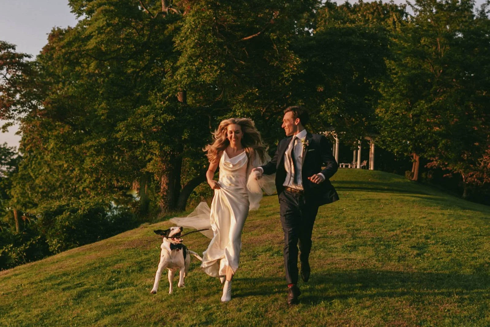 A newlywed couple running happily on a grassy hill with a dog, surrounded by lush green trees, during sunset.