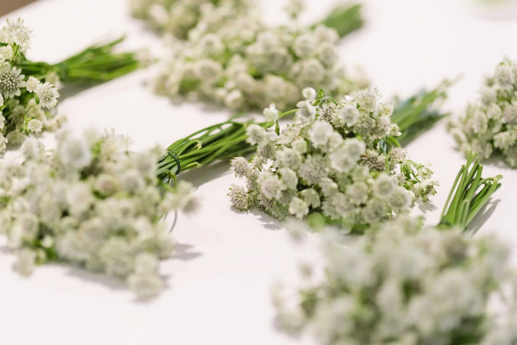 Greenwich-wedding-3.jpg