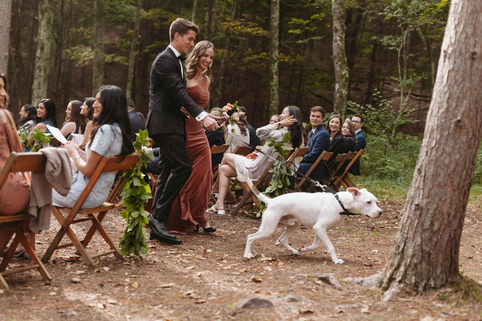 People attending an outdoor wedding ceremony in a forest, with a bride, groom, and dog.