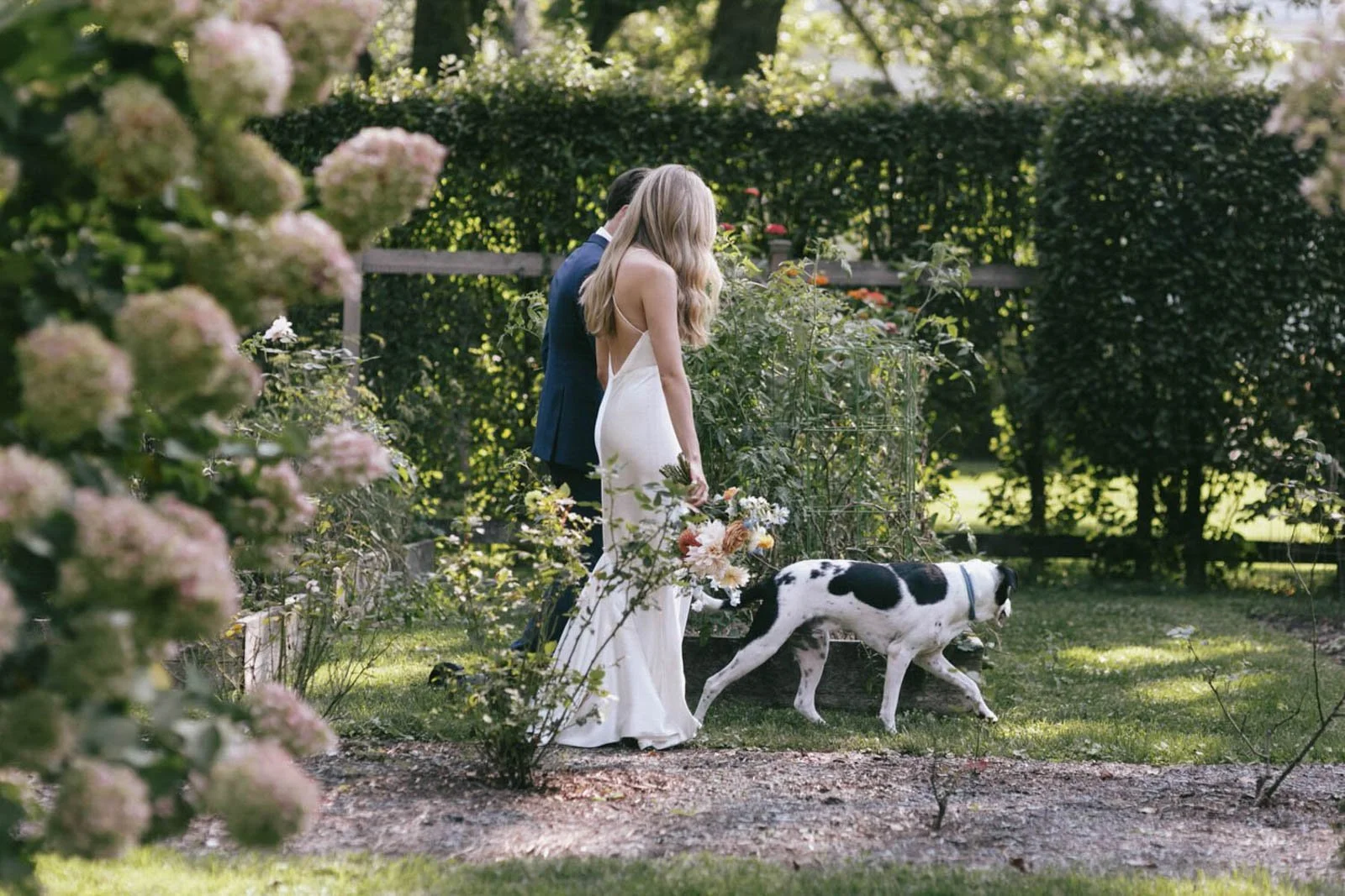 A woman in a white dress holding a bouquet, a man in a blue suit, and a Dalmatian dog in a garden with green trees and bushes.