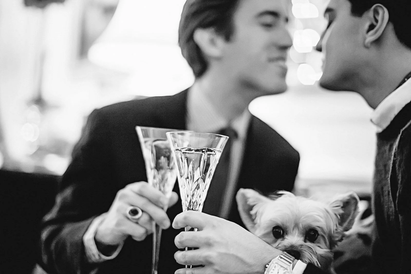 Two men in formal attire sharing an intimate moment at a social gathering, holding crystal glasses, with a small dog nestled in one man's arm, in a setting with blurred lights in the background.