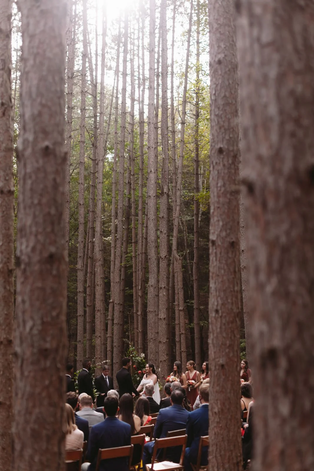 A wedding ceremony taking place in a forest with tall trees, with the bride and groom holding hands at the altar surrounded by bridesmaids and groomsmen, and seated guests watching.