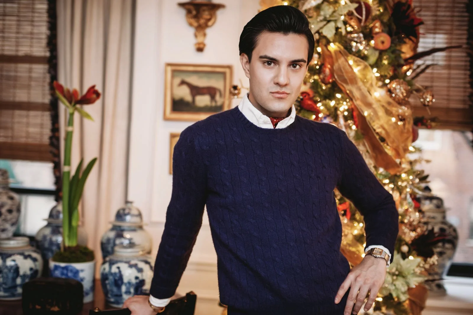 A young man with dark hair and fair skin standing in a decorated room with a Christmas tree, paintings, and pottery