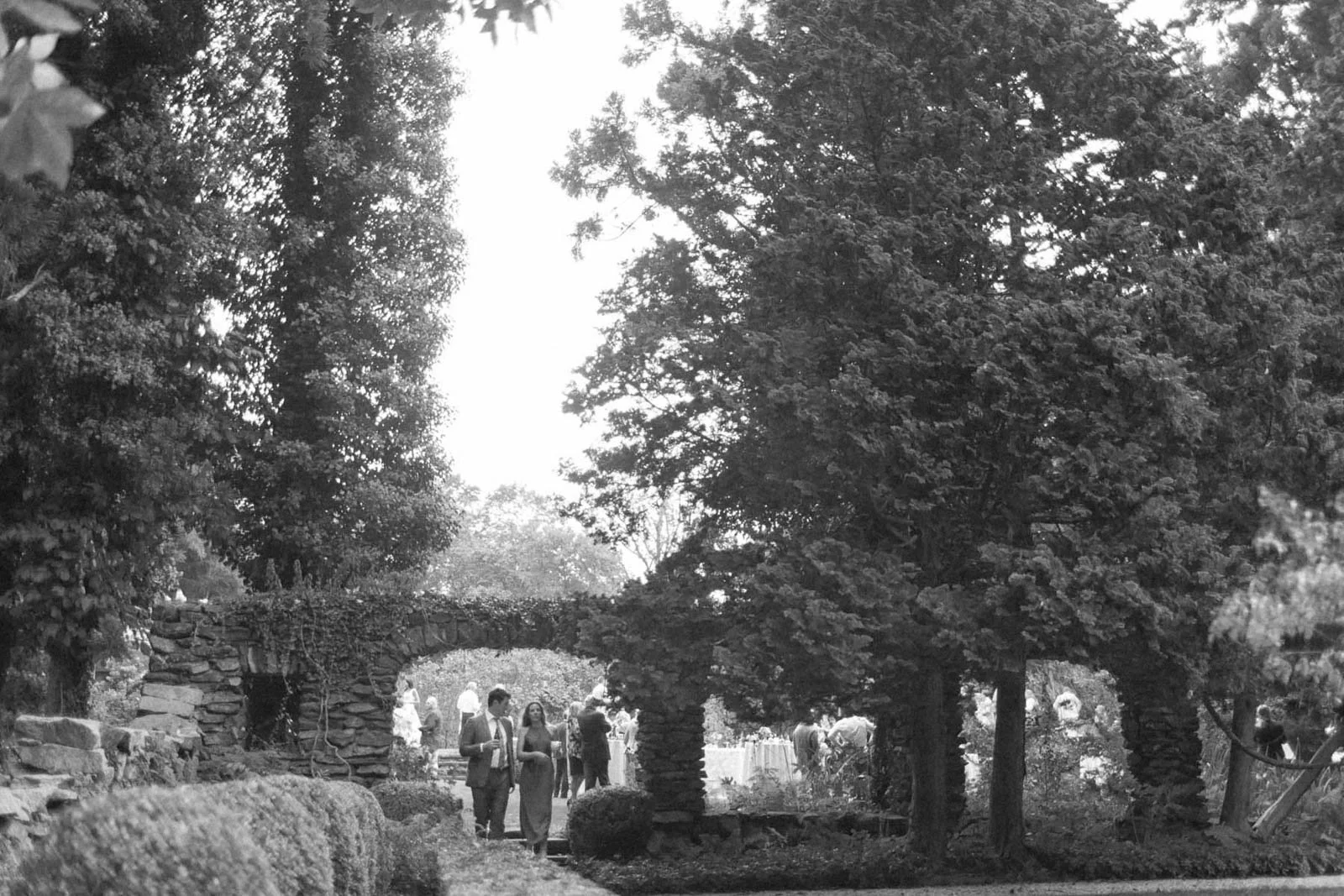 People gathered at an outdoor event under large trees with a stone archway covered in vines in the background.