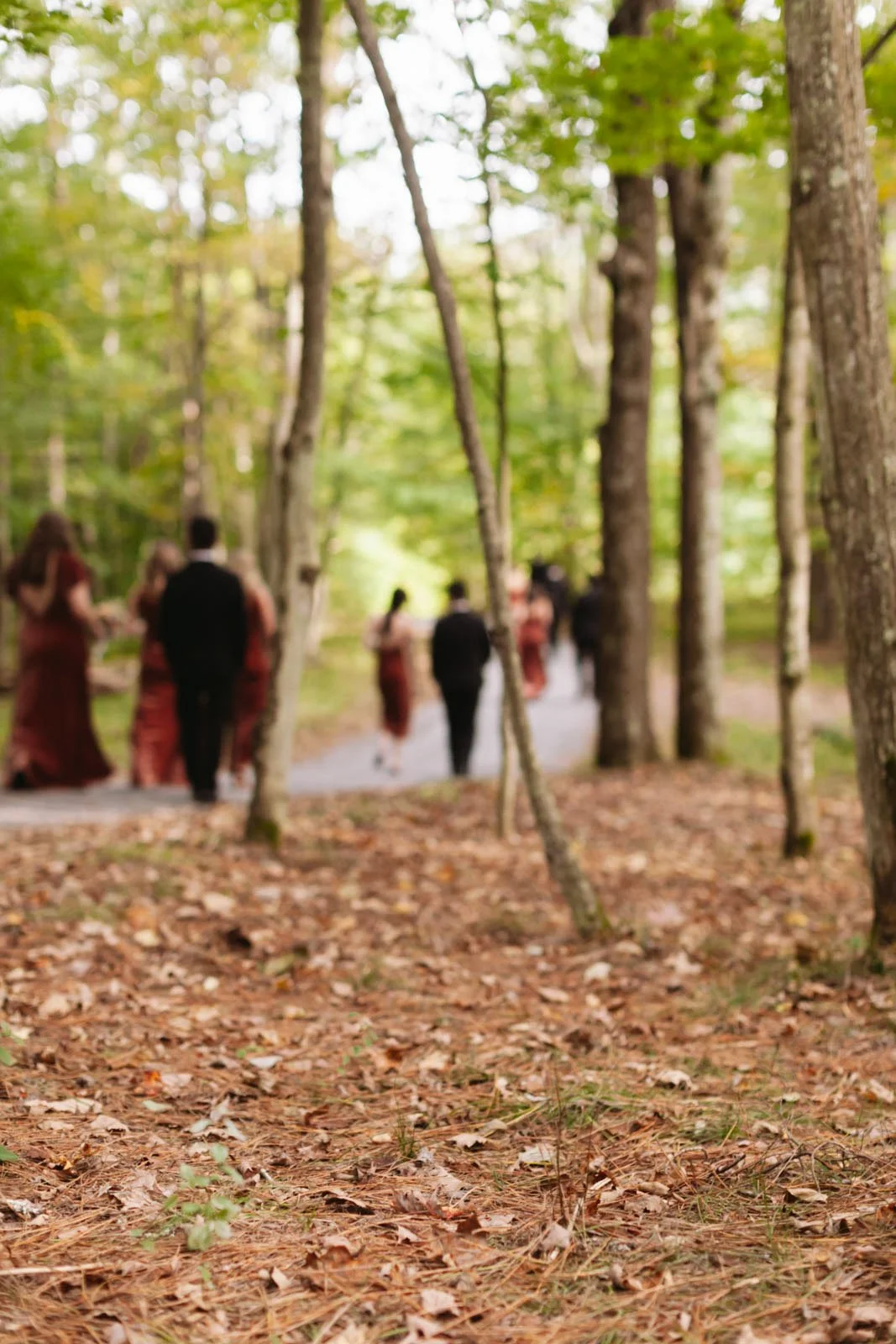 A group of people wearing formal attire walking through a wooded area, trees with green leaves surrounding them.