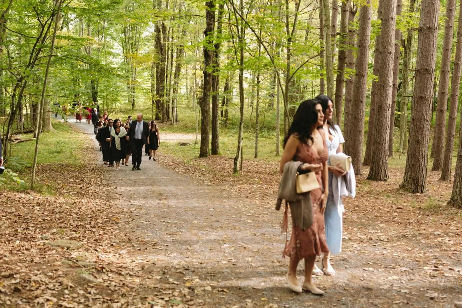 Group of people dressed up walking on a forest trail for a wedding or event