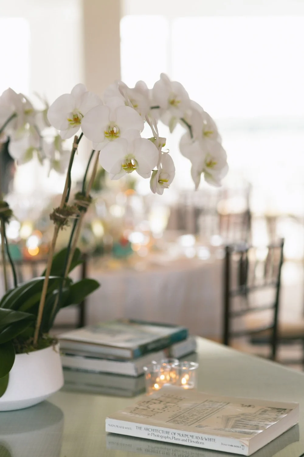 White orchid plant on a table with books and candles, blurred background of a well-lit room.