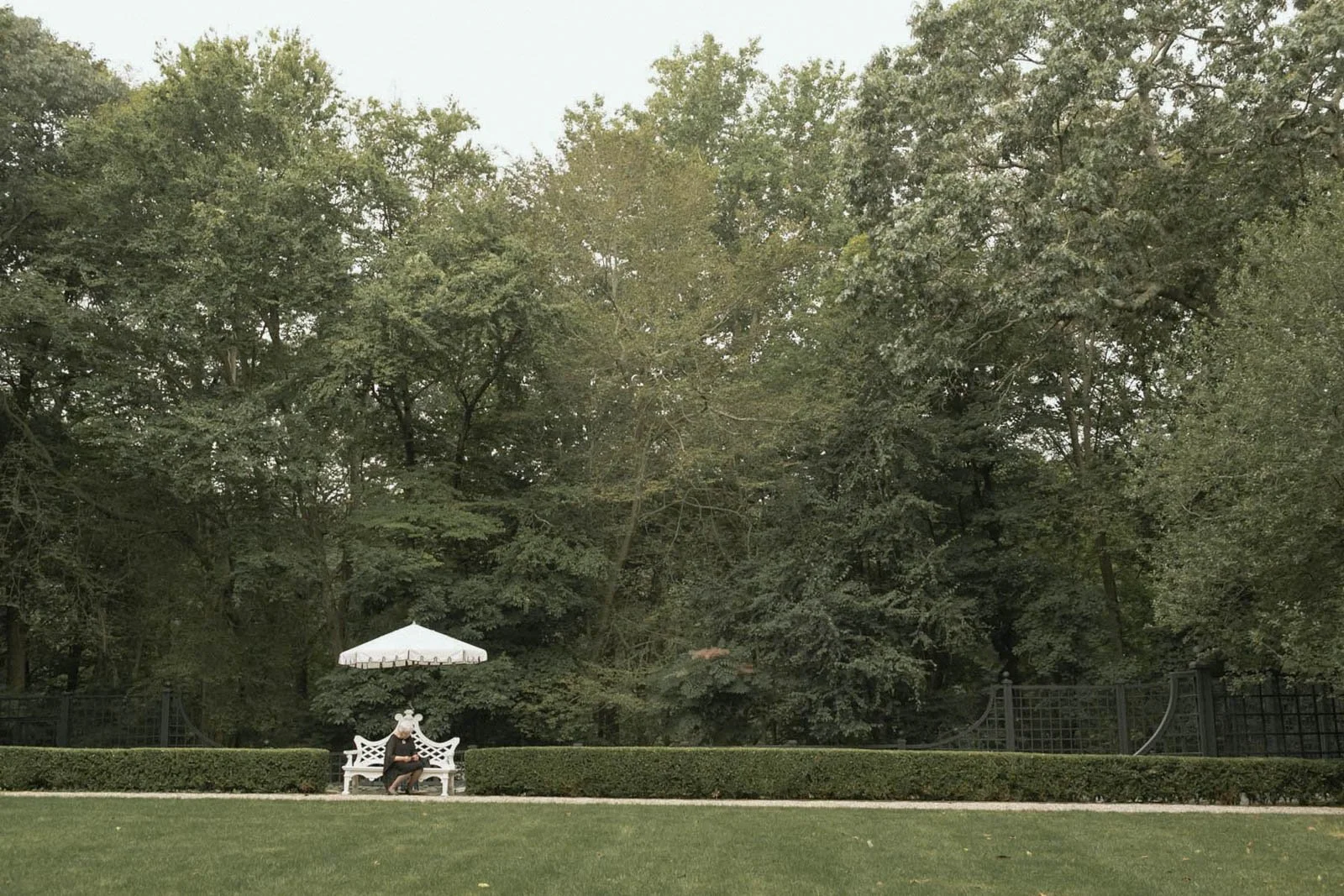 A woman sitting on a white bench near a plant and a white umbrella in a park with a large green grassy area and tall trees in the background.