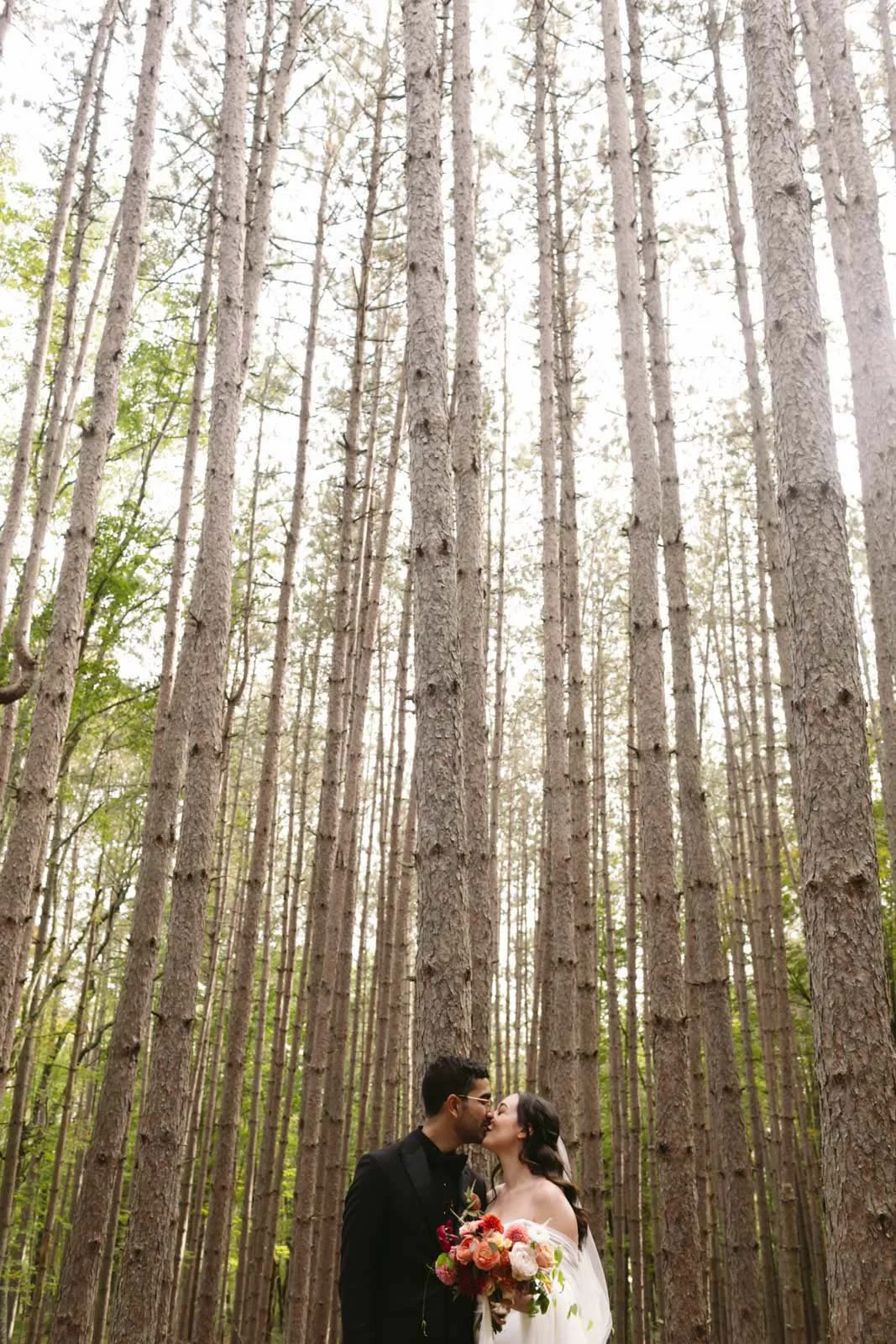 A couple in wedding attire sharing a kiss in a forest with tall, straight trees.