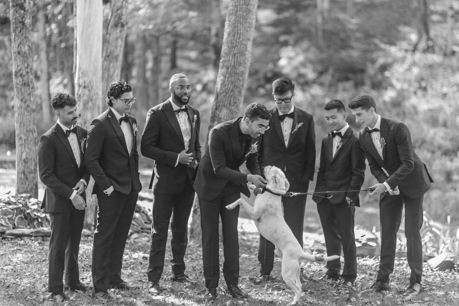 A group of seven men in tuxedos stands outdoors in a wooded area, gathered around a dog that is standing on its hind legs. One man is holding the dog's front paws and appears to be playing with or training the dog, while the others watch and smile.
