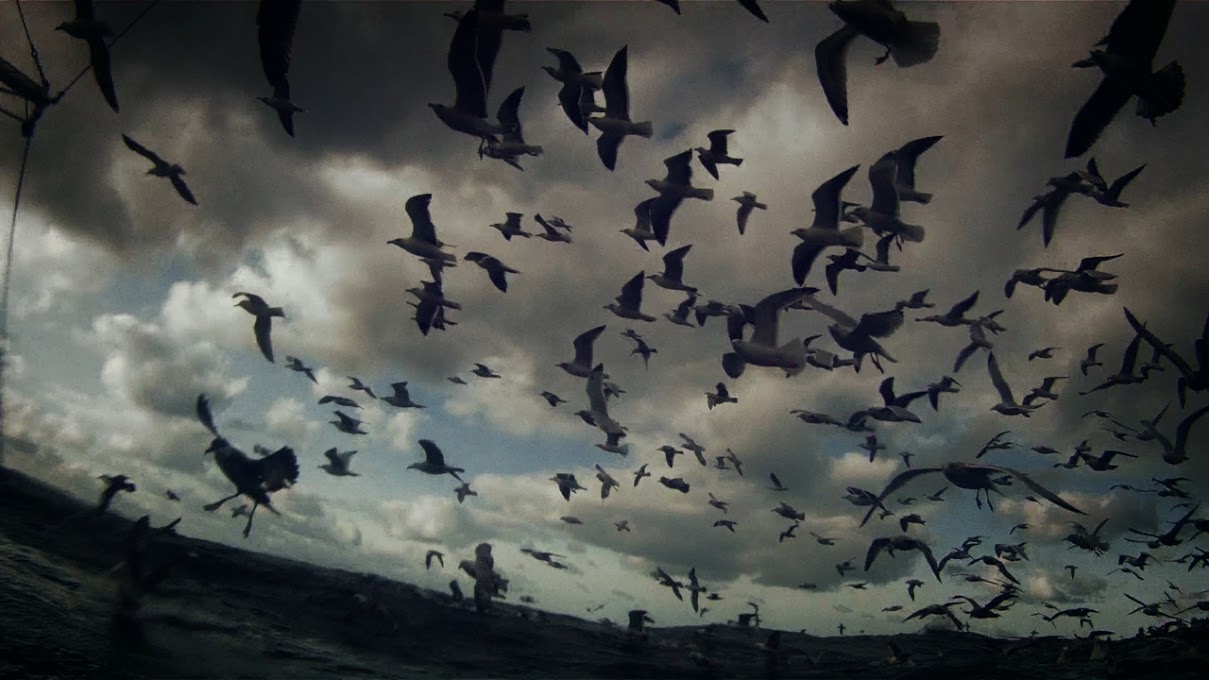 Leviathan.
