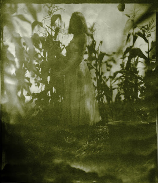 J. Shimon & J. Lindemann, “Prom Queen Picking Corn"