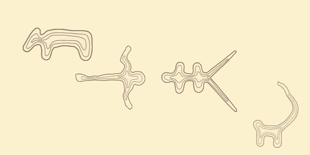 Outline drawings of Madison-area burial mounds, from the pamphlet " Native American Mounds In Madison And Dane County ," 1994, City of Madison.