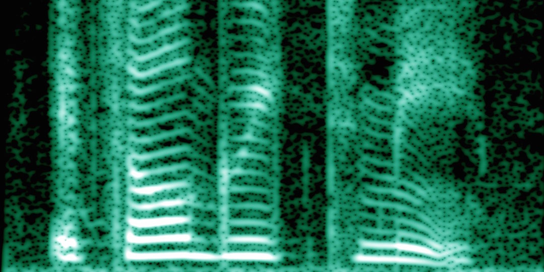 A spectrogram of the human voice. Image via Wikimedia Commons.