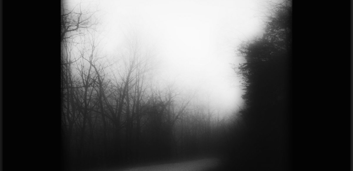 Detail from the cover art of "The Wretched."