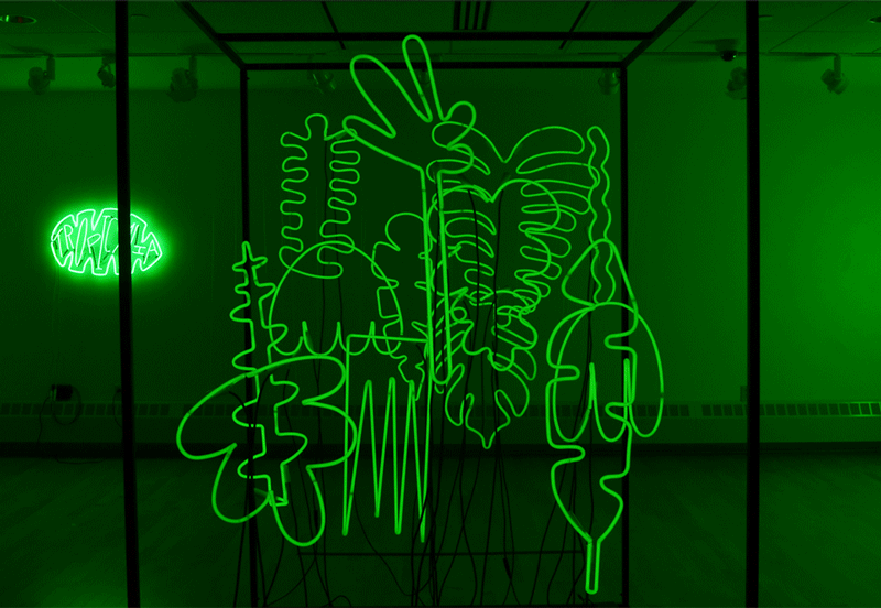 Assorted views of "Tropic V." Photos/.gif Courtesy of Ben Orozco.