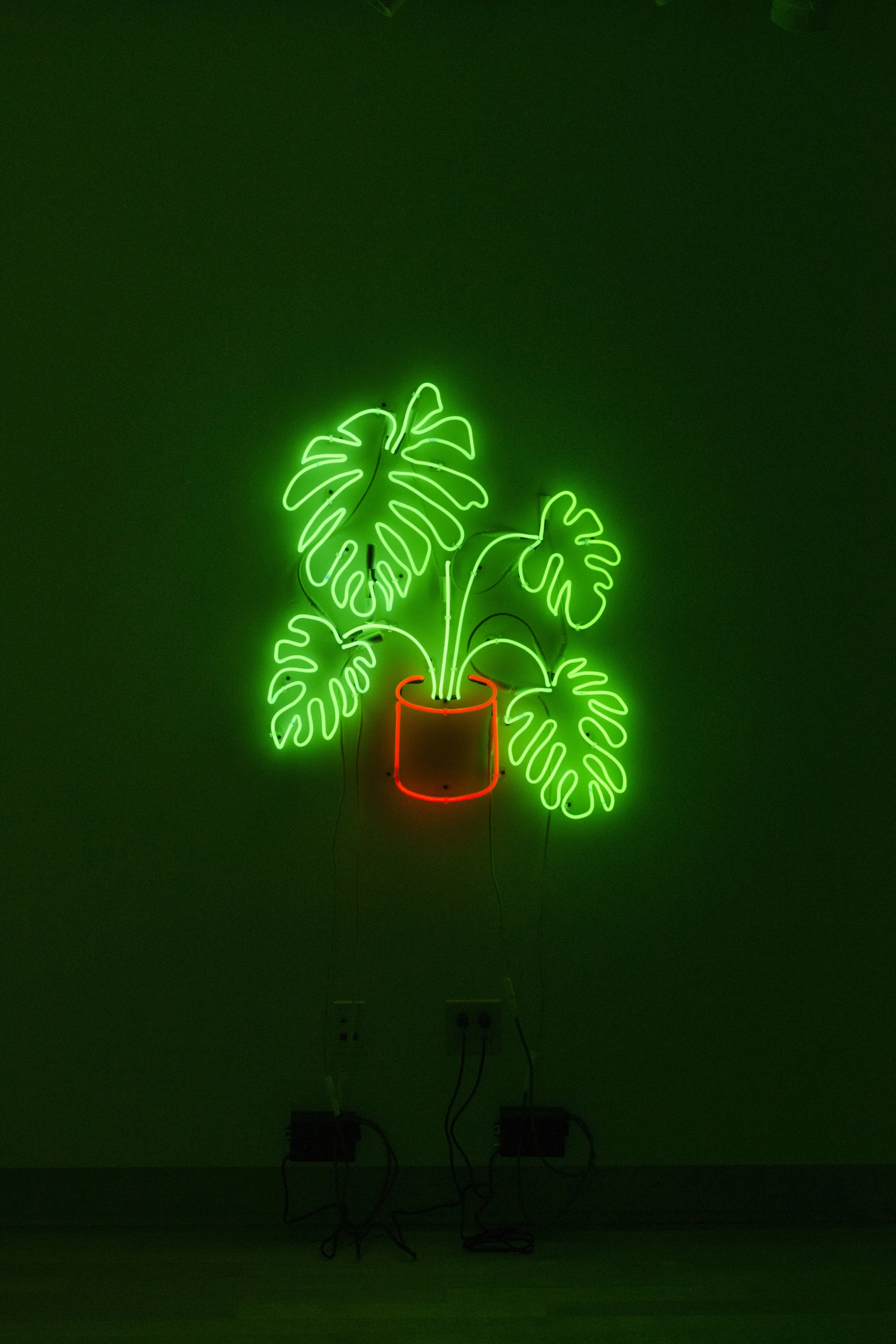 tropic II.jpg