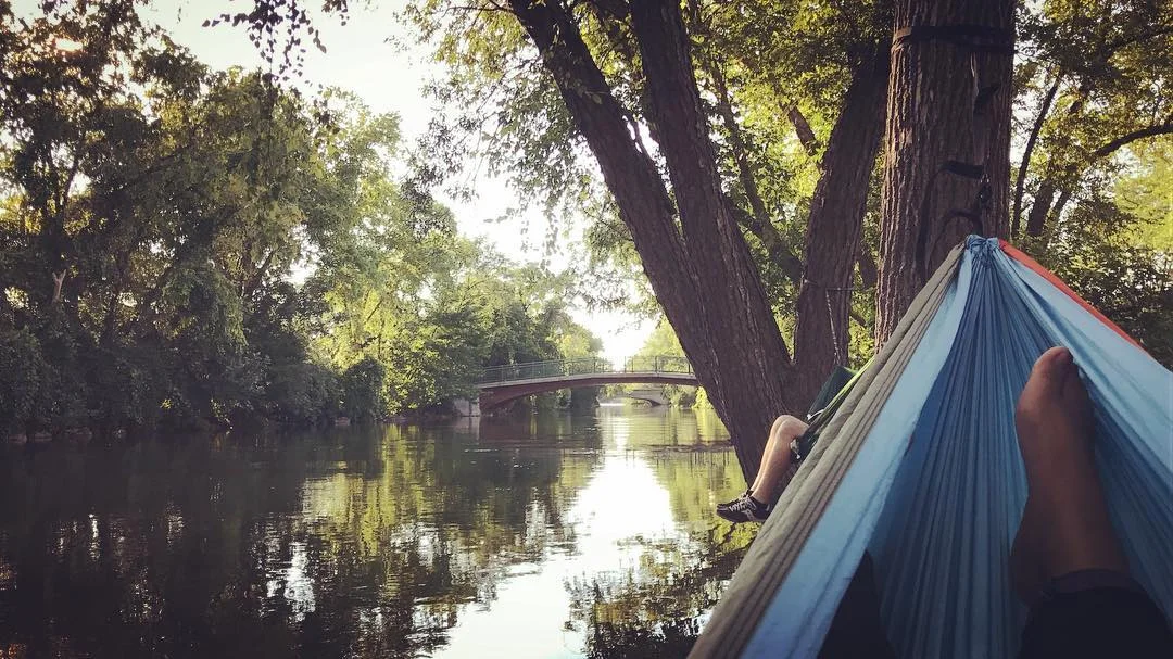 hammock.jpg